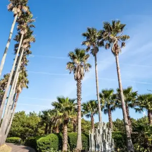 Explore 2024 Check-in Korea with Jeju Island in 16days: A Wellness Holiday for 16 days with HanaTour ITC and discover unforgettable experiences - Photo 7