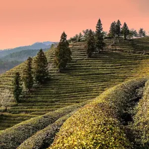 Explore 2025 Discover Korea in 7days:  A Wellness Holiday for 7 days with HanaTour ITC and discover unforgettable experiences - Photo 11