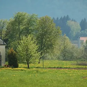 Explore Lakes And Valleys of Slovenia for 8 days with Helia Travel Agency and discover unforgettable experiences - Photo 4