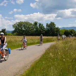 Explore Emerald Tour of Slovenia for 8 days with Helia Travel Agency and discover unforgettable experiences - Photo 10