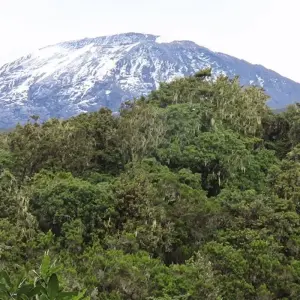 Explore 8-Days Mount Kilimanjaro Safari, Marangu Route for 8 days with Hazzes Adventure and discover unforgettable experiences - Photo 3