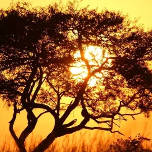 Explore 15-Days Kenya & Tanzania Safari-East Africa for 15 days with Hazzes Adventure and discover unforgettable experiences - Photo 7