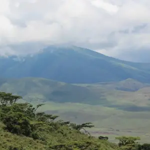 Explore 2 Days Tanzania Camping Safari for 2 days with Hazzes Adventure and discover unforgettable experiences - Photo 3