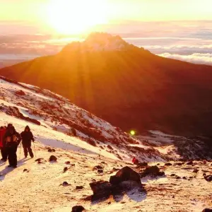 Explore 8 Days Kilimanjaro Climb Lemosho Route for 8 days with Hazzes Adventure and discover unforgettable experiences - Photo 2