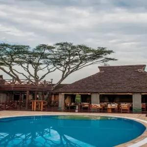 Explore 2 Days Tanzania Lodge safari for 2 days with Hazzes Adventure and discover unforgettable experiences - Photo 2