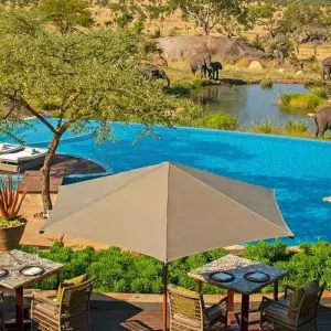 Explore 2 Days Tanzania Lodge safari for 2 days with Hazzes Adventure and discover unforgettable experiences - Photo 3