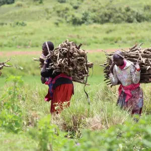 Explore 2 Days Tanzania Camping Safari for 2 days with Hazzes Adventure and discover unforgettable experiences - Photo 6