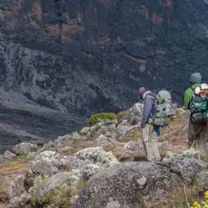 Explore 8 Days Kilimanjaro Climb Lemosho Route for 8 days with Hazzes Adventure and discover unforgettable experiences - Photo 5