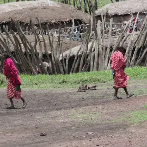 Explore 2 Days Tanzania Camping Safari for 2 days with Hazzes Adventure and discover unforgettable experiences - Photo 7