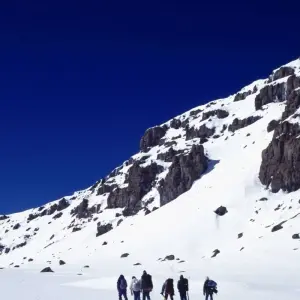 Explore 8 Days Kilimanjaro Climb Lemosho Route for 8 days with Hazzes Adventure and discover unforgettable experiences - Photo 6