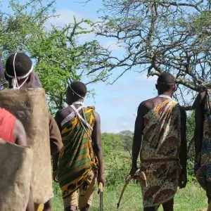 Explore 6 Days Tanzania  Lodge Safari. for 6 days with Hazzes Adventure and discover unforgettable experiences - Photo 6