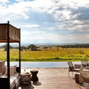 Explore 2 Days Tanzania Lodge safari for 2 days with Hazzes Adventure and discover unforgettable experiences - Photo 6