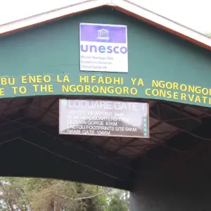 Explore 2 Days Tanzania Camping Safari for 2 days with Hazzes Adventure and discover unforgettable experiences - Photo 8