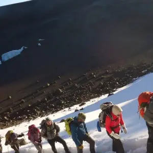 Explore 8 Days Kilimanjaro Climb Lemosho Route for 8 days with Hazzes Adventure and discover unforgettable experiences - Photo 7