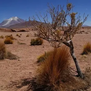 Explore Overland San Pedro de Atacama to Uyuni and La Paz (6 Nights) (from Calama to La Paz) for 7 days with Hi Travel Argentina and discover unforgettable experiences - Photo 3