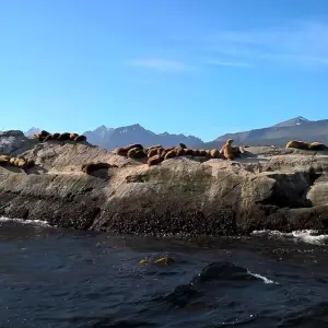 Explore The End of the World (7 Nights) for 8 days with Hi Travel Argentina and discover unforgettable experiences - Photo 5