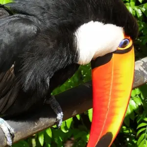 Explore Iguazu Falls on a Shoestring (3N) for 4 days with Hi Travel Argentina and discover unforgettable experiences - Photo 2