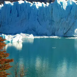 Explore Patagonia Adventure Tour (15 Nights) for 16 days with Hi Travel Argentina and discover unforgettable experiences - Photo 11