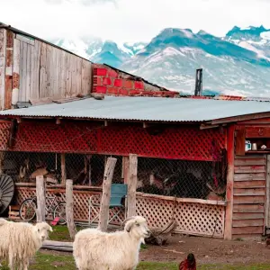 Explore El Calafate & Torres del Paine. Glaciers in Patagonia – 4 Nights for 5 days with Hi Travel Argentina and discover unforgettable experiences - Photo 4