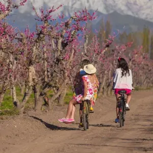 Explore From the Falls to the Andes (11 Nights) for 12 days with Hi Travel Argentina and discover unforgettable experiences - Photo 8
