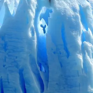 Explore El Calafate Starter Package – 2 Nights for 3 days with Hi Travel Argentina and discover unforgettable experiences - Photo 9