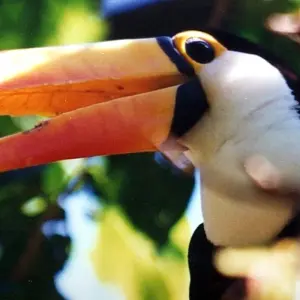 Explore Buenos Aires, Iguazú and Ibera Wetlands for Couples (8 nights) for 9 days with Hi Travel Argentina and discover unforgettable experiences - Photo 5