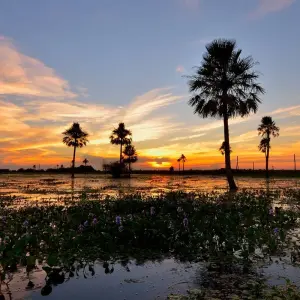 Explore Buenos Aires, Iguazú and Ibera Wetlands for Couples (8 nights) for 9 days with Hi Travel Argentina and discover unforgettable experiences - Photo 6