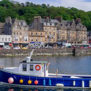 Explore Mull, Iona & Staffa Puffin Experience for 4 days with Highland Explorer Tours and discover unforgettable experiences - Photo 3
