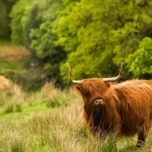 Explore Ultimate Skye Experience for 3 days with Highland Experience Tours and discover unforgettable experiences - Photo 4