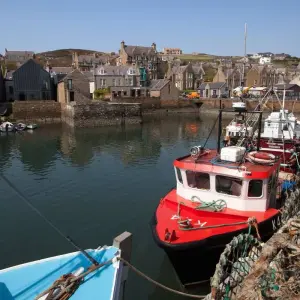 Explore Orkney Islands & The Northern Highlands for 3 days with Highland Explorer Tours and discover unforgettable experiences - Photo 7