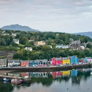 Explore Mull, Iona & Staffa Puffin Experience for 4 days with Highland Explorer Tours and discover unforgettable experiences - Photo 9