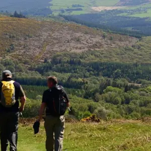 Explore The Wicklow Way: Self Guided 5 Day for 5 days with Hilltoptreks and discover unforgettable experiences - Photo 3