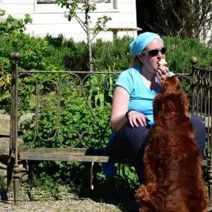 Explore The Wicklow Way: Self Guided 5 Day for 5 days with Hilltoptreks and discover unforgettable experiences - Photo 4