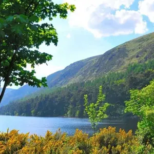 Explore Private Day Tour of Wicklow and Glendalough. for 1 days with Hilltoptreks and discover unforgettable experiences - Photo 2