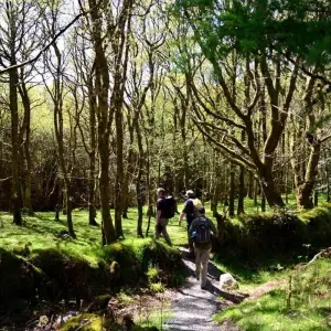 Explore The Wicklow Way: Self Guided 4 Day for 4 days with Hilltoptreks and discover unforgettable experiences - Photo 5