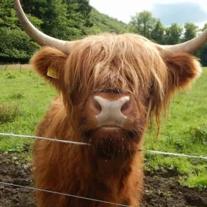 Explore 4-day Isle of Skye and The Jacobite Steam Train for 4 days with Highland Experience Tours and discover unforgettable experiences - Photo 8