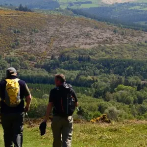 Explore The Wicklow Way: Self Guided 4 Day for 4 days with Hilltoptreks and discover unforgettable experiences - Photo 6