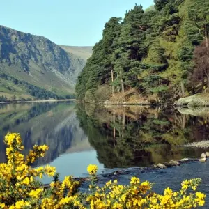 Explore The Wicklow Way: Self Guided 10 Day for 10 days with Hilltoptreks and discover unforgettable experiences - Photo 6
