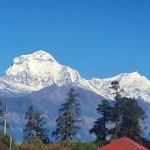 Explore Short Annapurna Base Camp Trek for 6 days with Himalaya Heart Treks & Expedition[P] Ltd  and discover unforgettable experiences - Photo 5