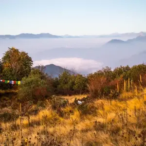 Explore Ghorepani Poon Hill Trek for 2025/2026 for 9 days with Himalaya Heart Treks & Expedition[P] Ltd  and discover unforgettable experiences - Photo 5