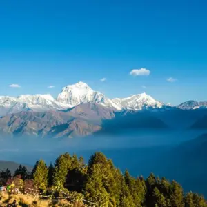 Explore Ghorepani Poon Hill Trek for 2025/2026 for 9 days with Himalaya Heart Treks & Expedition[P] Ltd  and discover unforgettable experiences - Photo 8