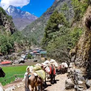 Explore Budget Everest Base Camp Trek for 2025/2026 for 13 days with Himalaya Heart Treks & Expedition[P] Ltd  and discover unforgettable experiences - Photo 6