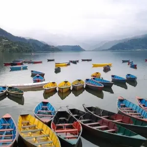 Explore Ghorepani Poonhill Trek and Jungle Safari for 13 days with Himalaya Heart Treks & Expedition[P] Ltd  and discover unforgettable experiences - Photo 6