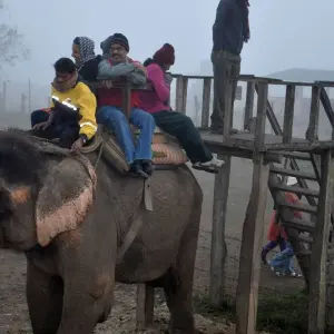 Explore Chitwan Package Tour- 2 Nights 3 Days for 3 days with Himalayan Adventure Treks & Tours and discover unforgettable experiences - Photo 3