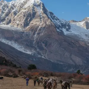 Explore Manaslu Tsum Valley Circuit Trek -24 Days for 24 days with Himalayan Adventure Treks & Tours and discover unforgettable experiences - Photo 3