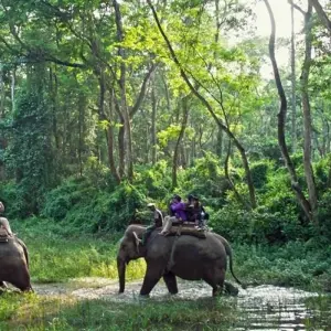 Explore Chitwan Package Tour- 2 Nights 3 Days for 3 days with Himalayan Adventure Treks & Tours and discover unforgettable experiences - Photo 10