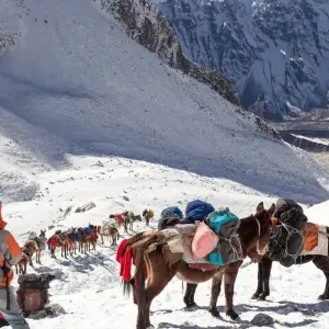 Explore Manaslu Circuit Trek 14 Days for 14 days with Himalayan Adventure Treks & Tours and discover unforgettable experiences - Photo 2