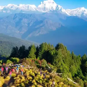 Explore Ghorepani Ghandruk Trek for 8 days with Himalayan Adventure Treks & Tours and discover unforgettable experiences - Photo 2