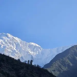 Explore Short Annapurna Base Camp Trek for 8 days with Himalayan Adventure Treks & Tours and discover unforgettable experiences - Photo 5