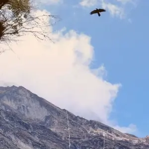 Explore Upper Mustang Trek for 21 days with Himalayan Adventure Treks & Tours and discover unforgettable experiences - Photo 5